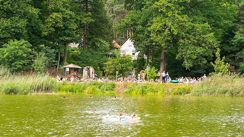 Jim Jarmusch: Tom Waits and Waits and Waits… - Film & Musik auf dem See, im See und um den See herum