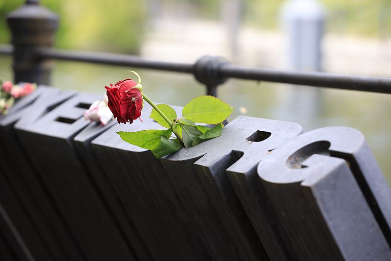 Durch Berlin mit: Margarethe von Trotta - Eine rote Rose für die 1919 ermordete Rosa Luxemburg, deren Leben Margarethe von Trotta mit Barbara Sukova in der Hauptrolle verfilmte.