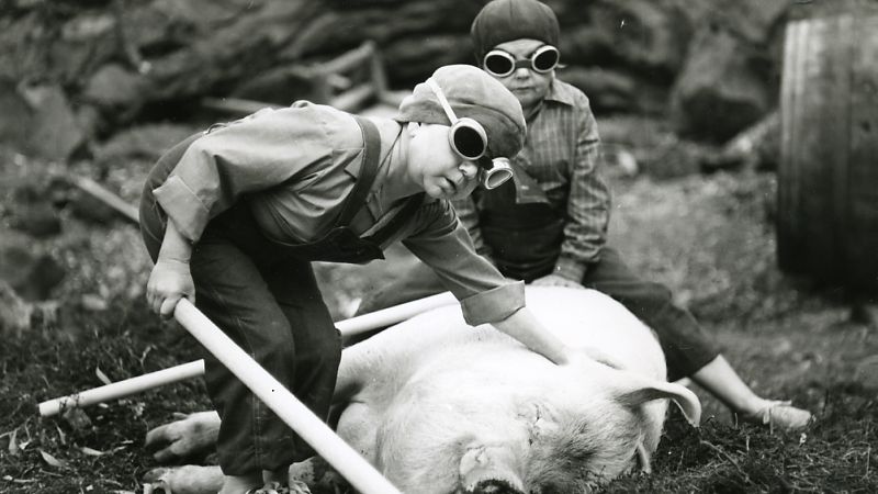 Bild zu Neuer Deutscher Film