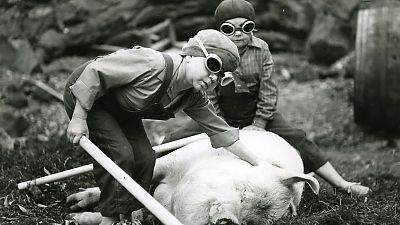 Poster zu Neuer Deutscher Film