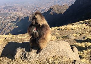 Bild zu 360°: Mit GEO die Welt ins Wohnzimmer holen