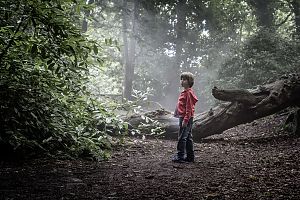 Bild zu ARTHAUS+ im September: Genre-Vielfalt