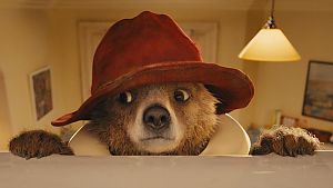 tollpatschig aber unglaublich liebenswert - PADDINGTON © STUDIOCANAL