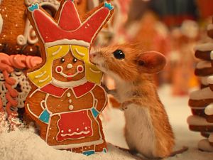 Bild zu Der ARTHAUS Gift Guide für eine filmreife Weihnachtszeit