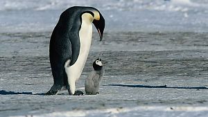 Das Geheimnis des Lebens wird weitergegeben © Studiocanal