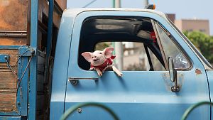 Bild zu Die Wurzeln des Glücks: Bittere Medizin