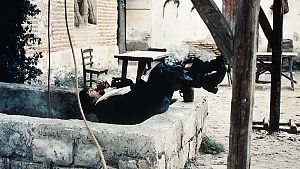 Rauf- und Saufgeschichten vom Feinsten © Studiocanal