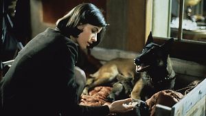 Auf den Hund gekommen? © 1994 MK2 Productions - France 3 cinema - CAB Productions - Film Studio Tor. All rights reserved.