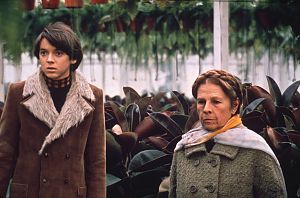 Bild zu Filmquiz und Verlosung: Wie gut kennen Sie Harold und Maude?