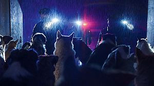 Wo immer ein Unglücklicher ist, schickt Gott einen Hund &copy; 2023 LBP, Europacorp, TF1 Films Production. All rights reserved.