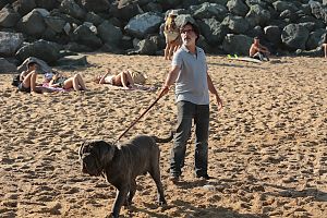 Bild zu Fante in Frankreich: Der Hund bleibt von und mit Yvan Attal