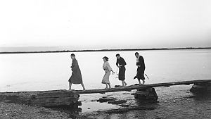 &copy; Arthaus / Studiocanal