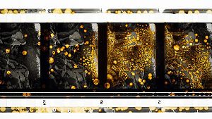 Redoxflecken auf einer Filmrolle © Marian Stefanowsk