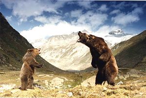 Bild zu Neue Titel bei ARTHAUS+: Tierisch menschlich