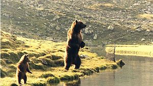 Ungewöhnliche Freundschaft © Studiocanal