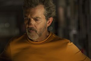 Bild zu Pedro Almodóvars Leid und Herrlichkeit: Auf dem Höhepunkt