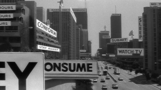 SieLeben_007-1___bild_16zu9_201912111647