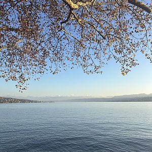 Der Ausblick am Zürichhorn (von einem Tisch am Wasser im Biergarten "Fischergarten") © Daniel Koch