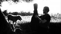Bild zu Zum Tod von Glen Hansard